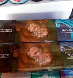 winston purple mint cigarettes 10 cartons