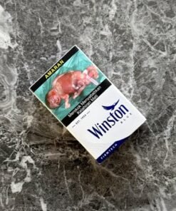 Winston Blue cigarettes 10 cartons