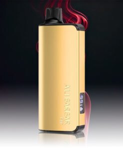 ALIBARBAR INGOT 9000 Puffs FTP