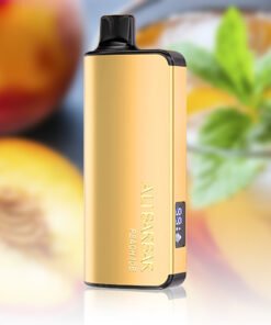 ALIBARBAR INGOT 9000 Puffs Peach Ice