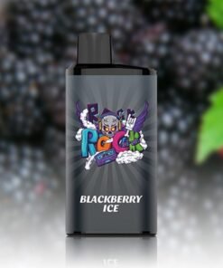 IGET Bar Pro 10000 Puffs Blackberry Ice